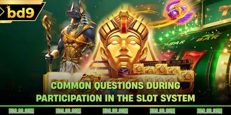 Common questions during participation in the slot system
