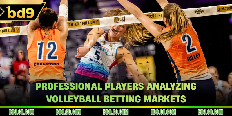Professional players analyzing Volleyball Betting markets