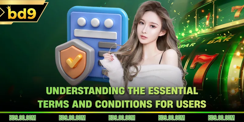 Understanding the essential terms and conditions for users